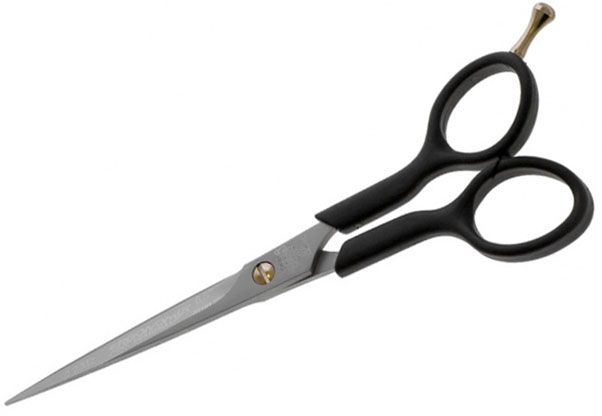 r81r8nc49d5usdnu5dctelcriec31cnb