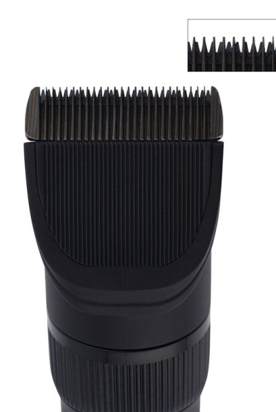 wszxwdfb0x2txpqm1fo7uaju31ytd0j7