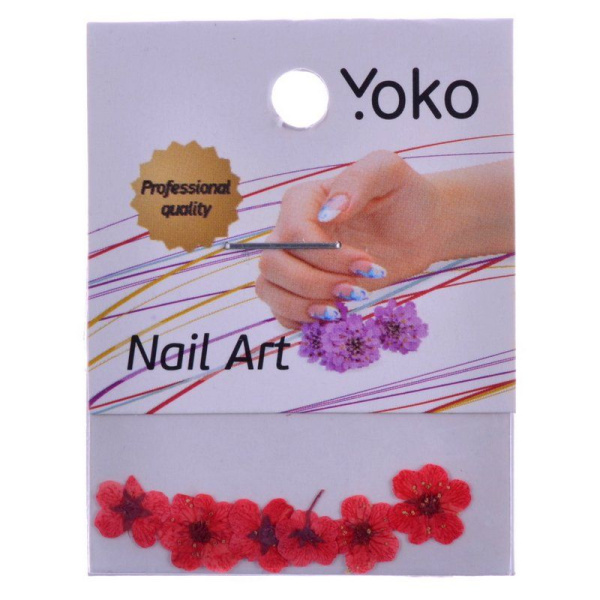 omtmsx7fhnnt6ipzt9z51gm0nxdoc6wm