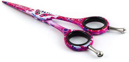 e5voc87ajfzup1ln03k2unp52ki0exam