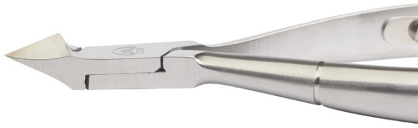 wi7xk72sgcjj74kpqsspx8qqqq8rkwl4