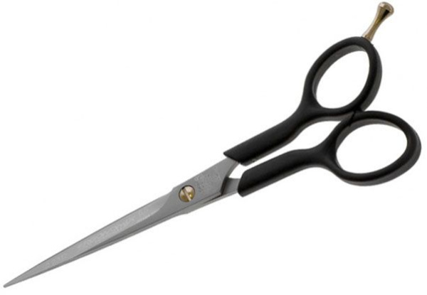 r81r8nc49d5usdnu5dctelcriec31cnb